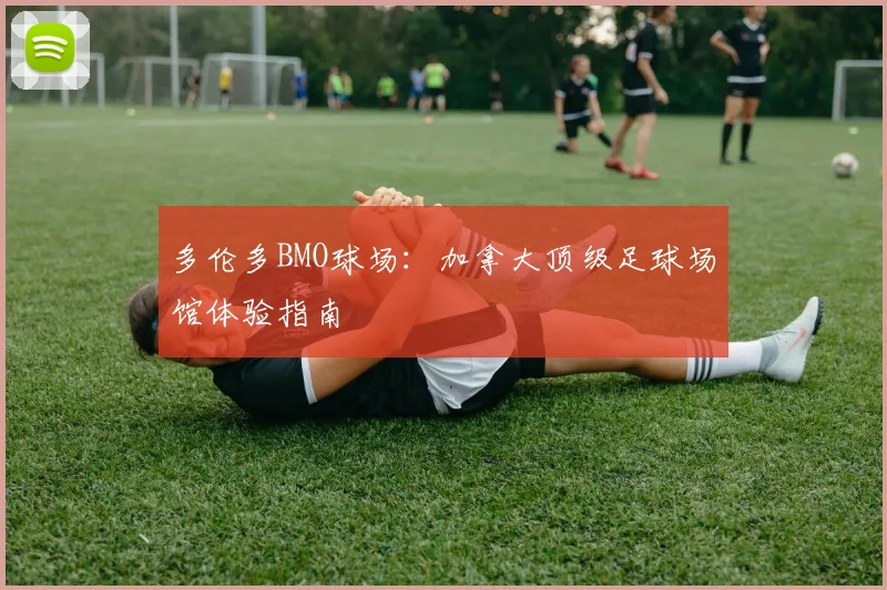 多伦多BMO球场:加拿大顶级足球场馆体验指南